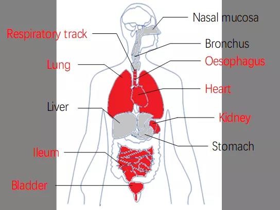  html bdsfid="0"> head bdsfid="1"> 